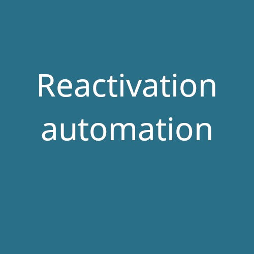 Customer Reactivation email automation training MailChimp 